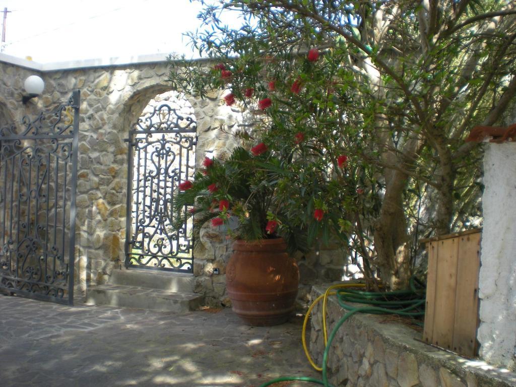 Bed & Breakfast Pina Ponza